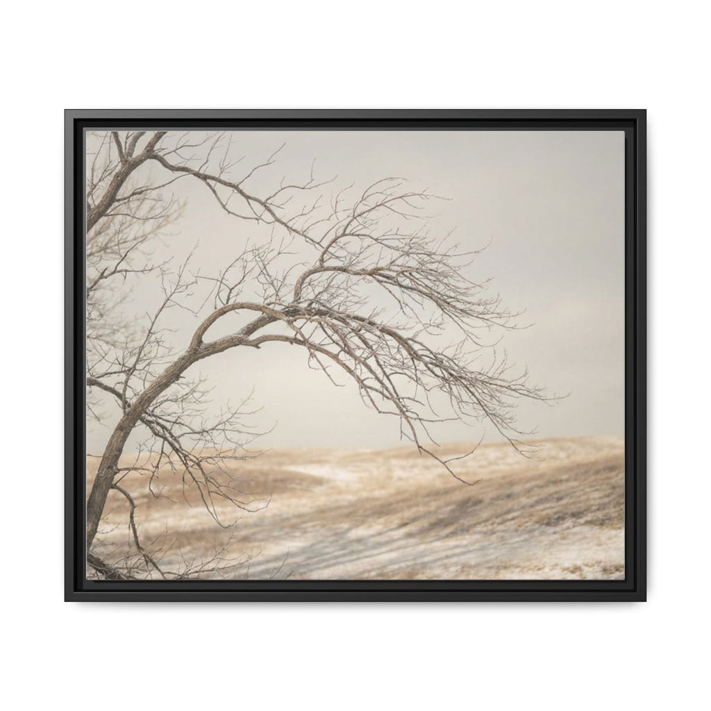 Framed Canvas Art - Minimalist Winter — Black / 1.25"