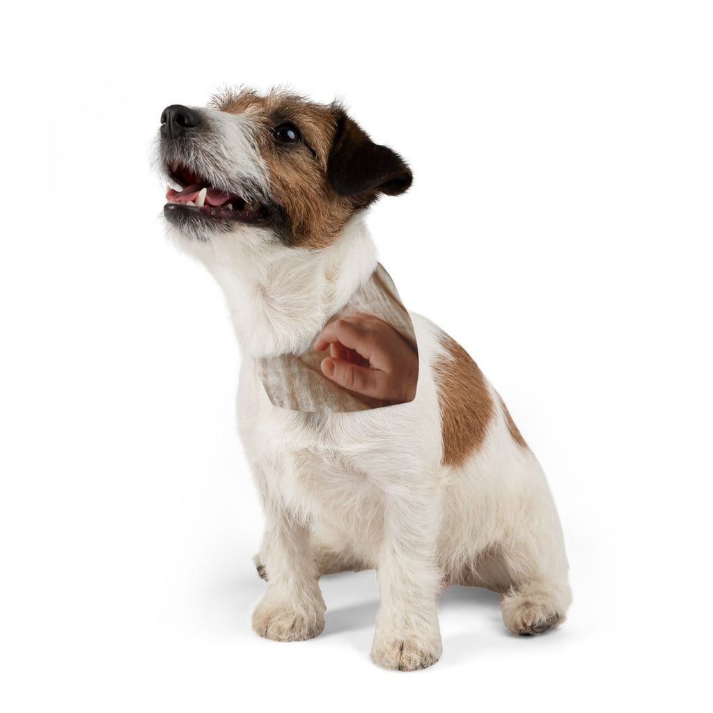 Pet Bandana Collar - Gentle Walks