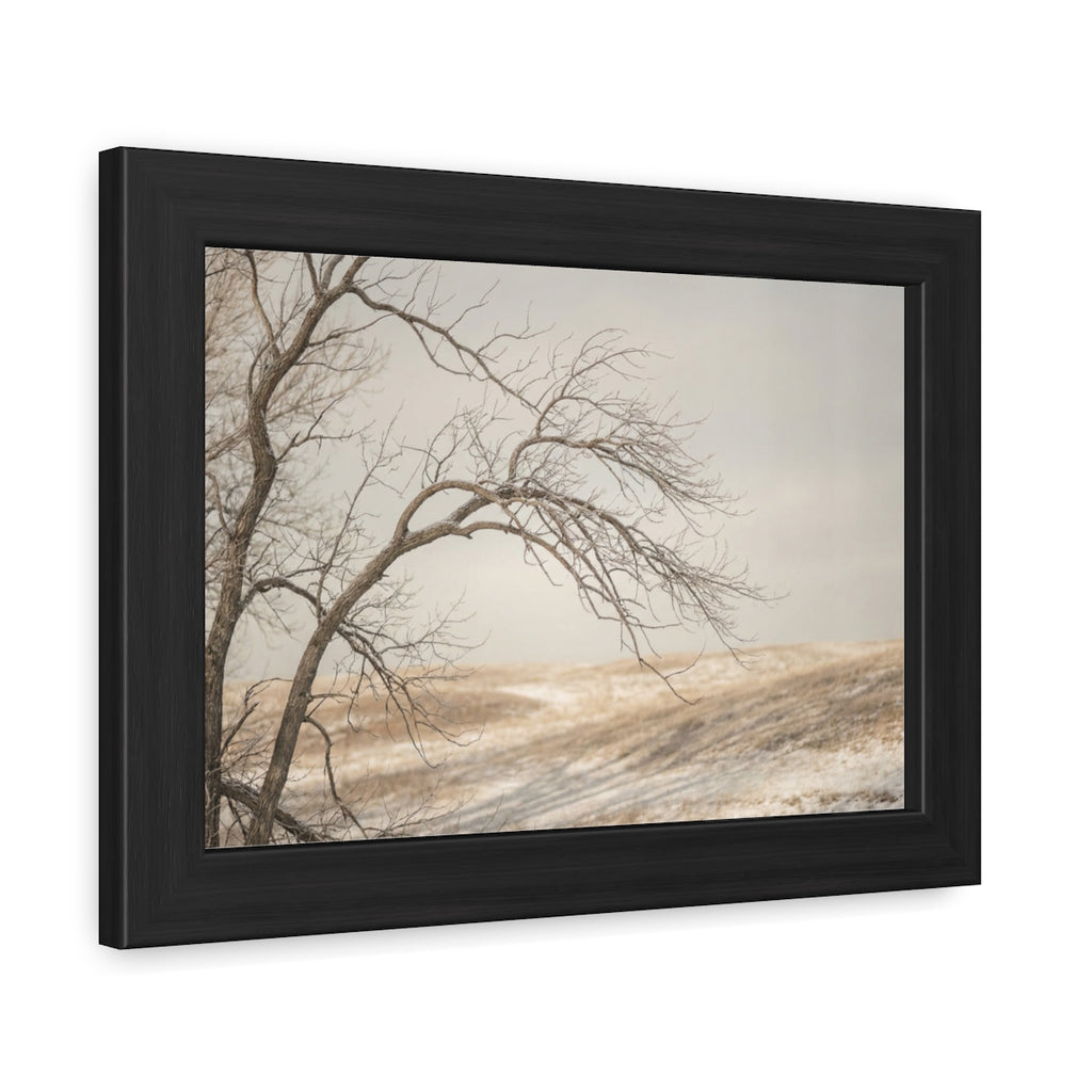 Framed Poster - Minimalist Winter Tree — Landscape
