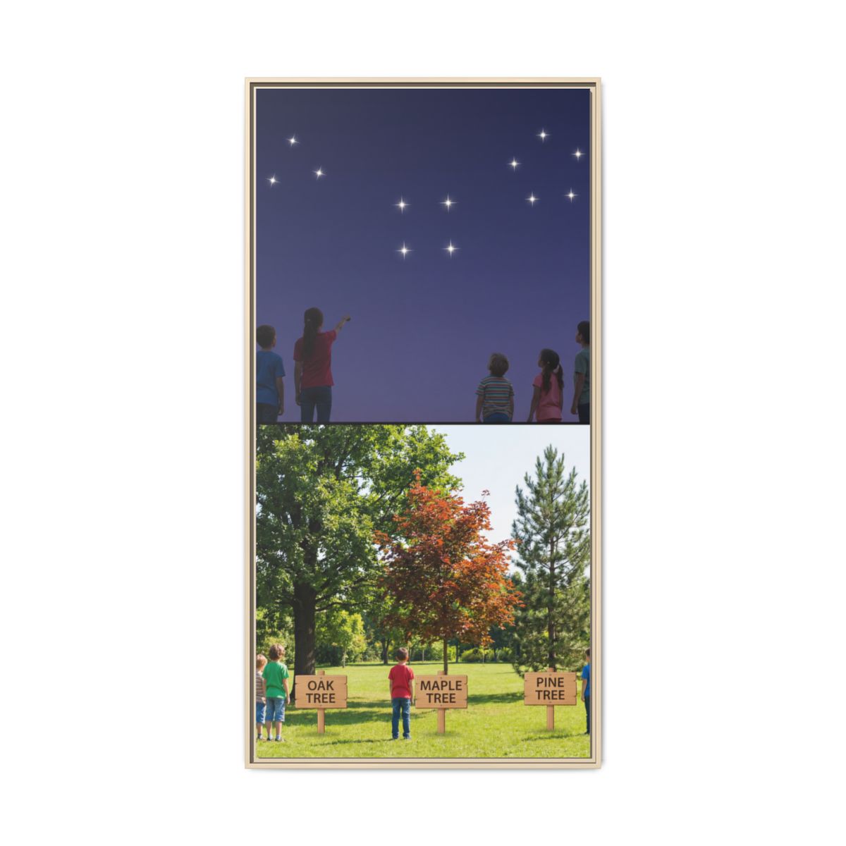 Framed Matte Canvas - Discovery — Natural / 1.25"