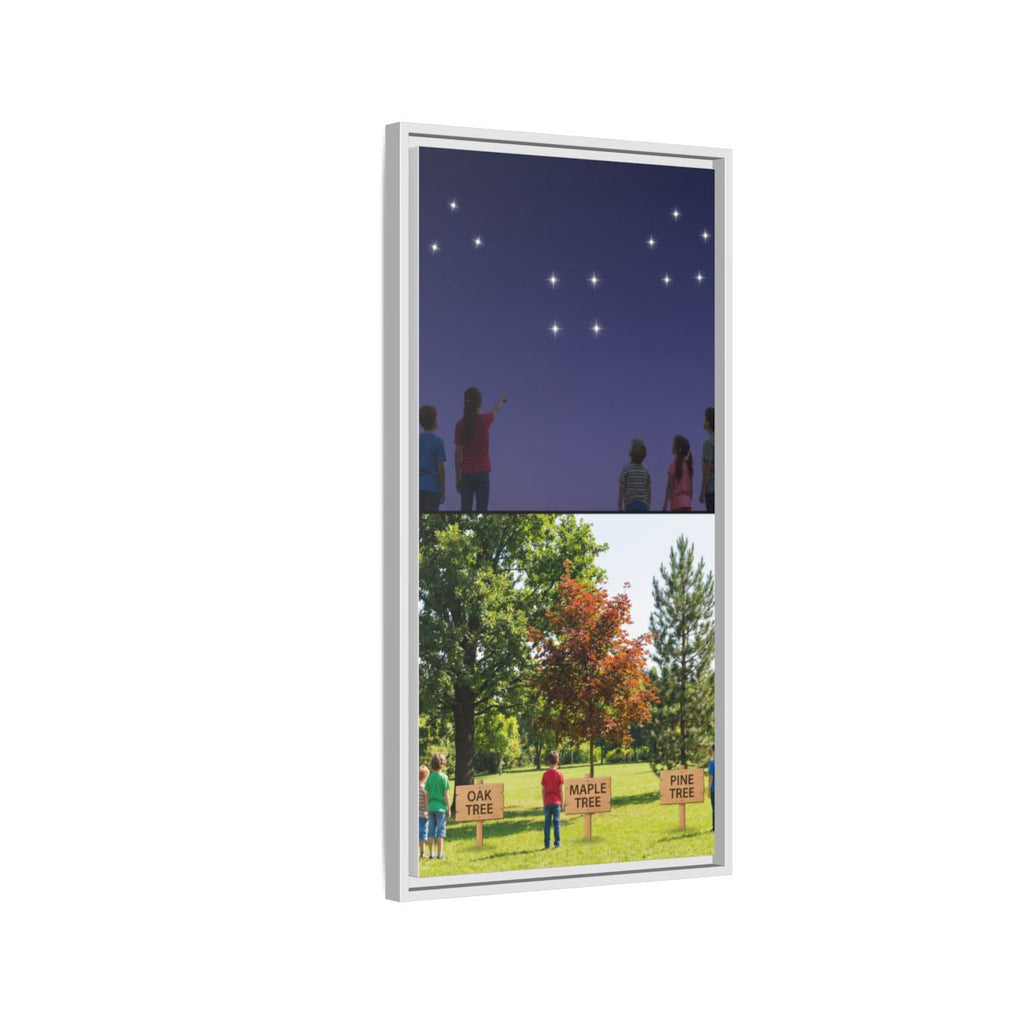 Framed Matte Canvas - Discovery — White / 1.25"