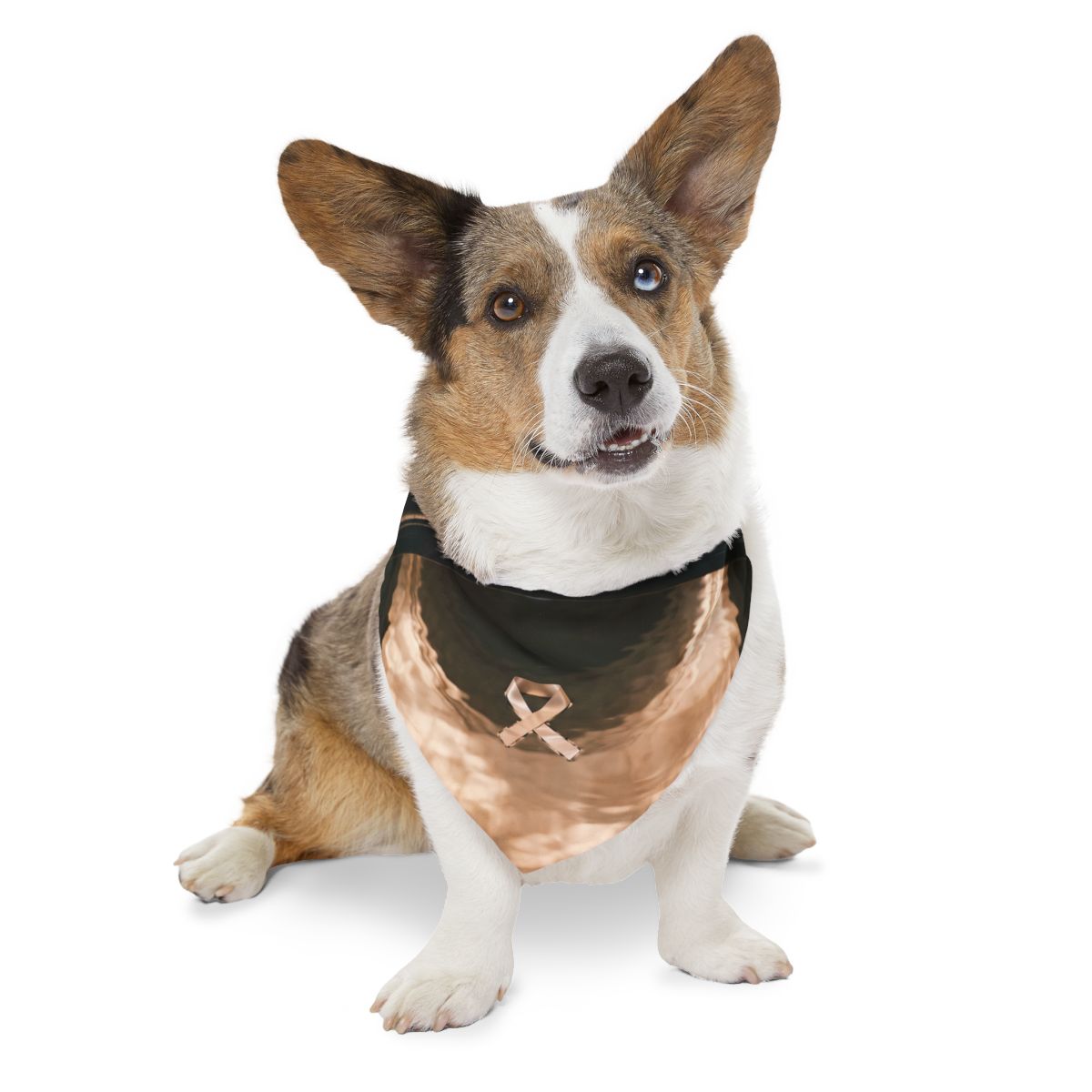 Pet Bandana Collar - Sacred Ribbon Style | Echovira Gallery