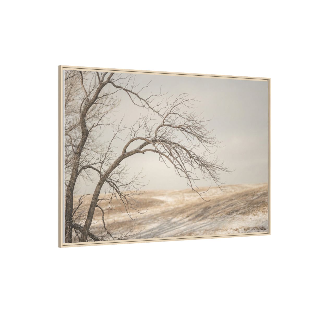 Matte Canvas, Framed - Winter Branch Solitude Landscape — Natural / 1.25" (10×8, 12×9, 14×11, 16×12, 20×10, 18×12, 20×16, 24×16, 24×18, 36×12, 24×20, 32×16, 30×20, 30×24, 32×24, 48×16, 36×24, 48×24, 40×30, 60×20, 48×32, 60×30 & 60×40)