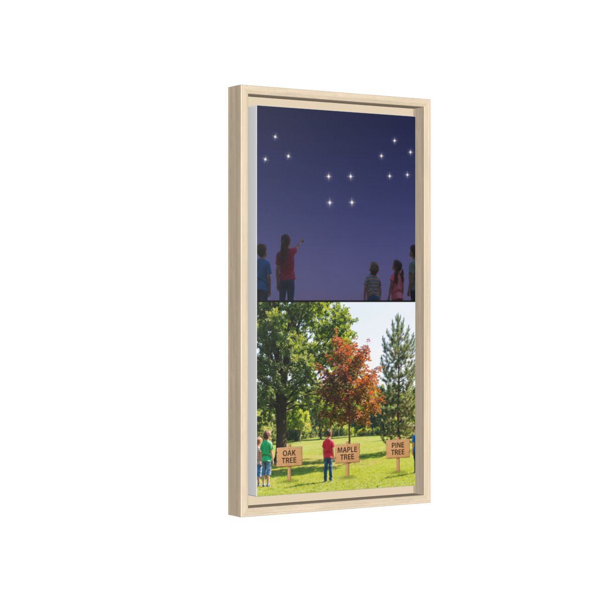 Framed Matte Canvas - Discovery — Natural / 1.25"