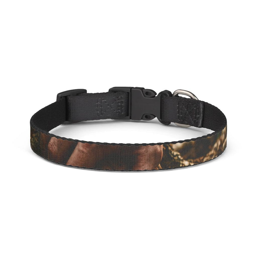 Clip-on Pet Collar with Forest Root Artwork
