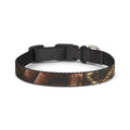 Clip-on Pet Collar with Forest Root Artwork