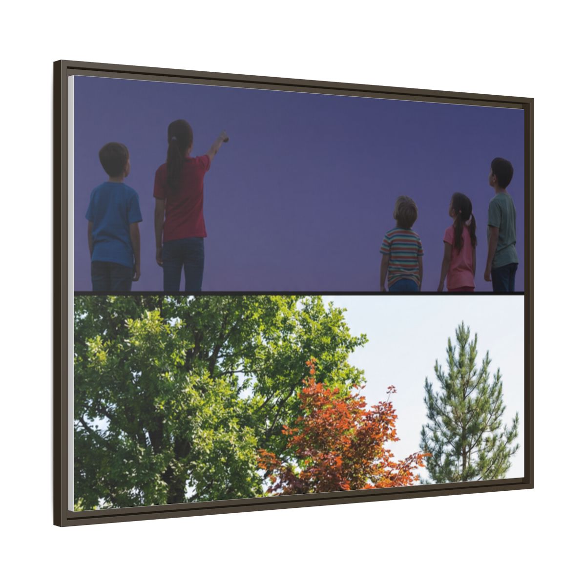Framed Matte Canvas - Wilderness Gallery