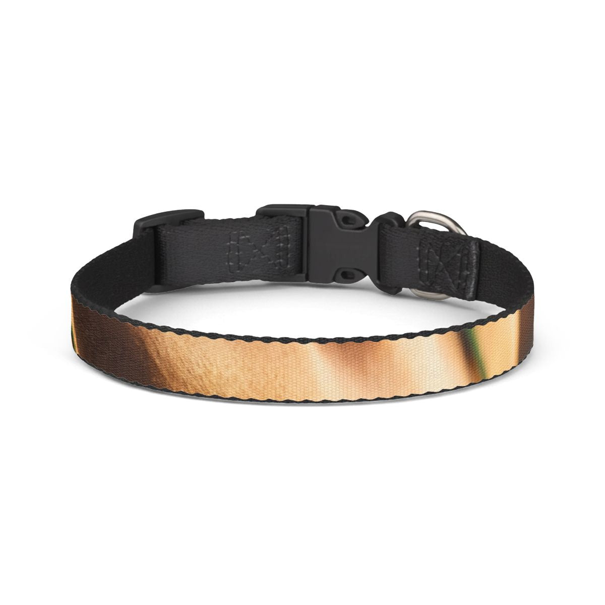 Pet Collar - Golden Hour Walk Style