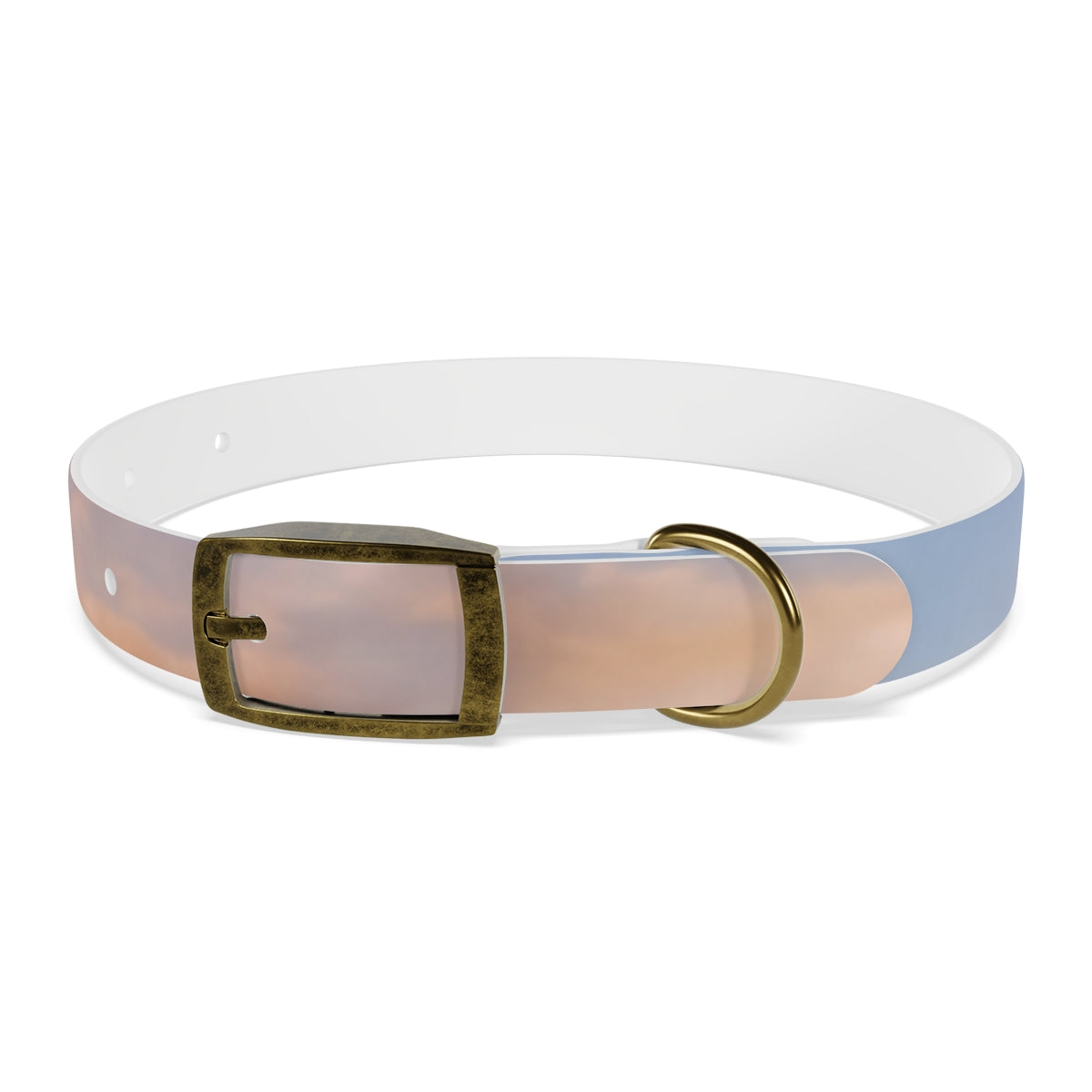 Dog Collar - Trail Companion