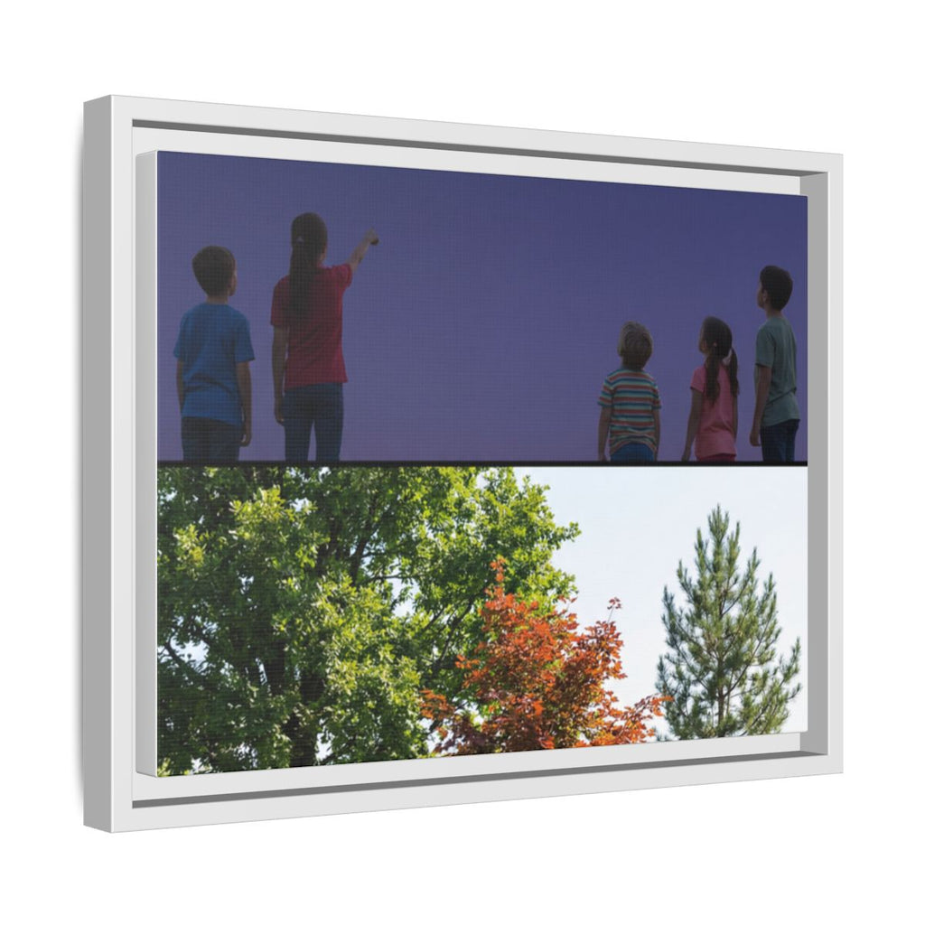 Framed Matte Canvas - Discovery — White / 1.25"