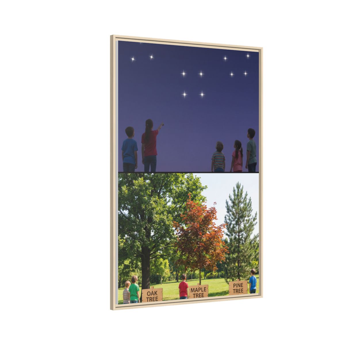 Framed Matte Canvas - Discovery — Natural / 1.25"