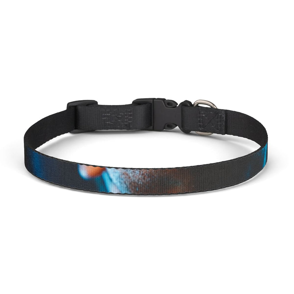 Clip-on Pet Collar - Cinematic Strut