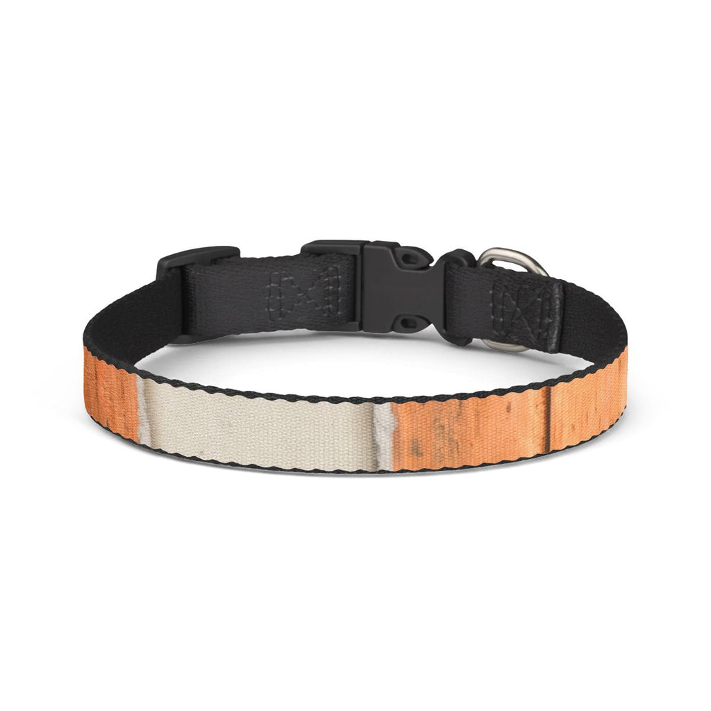 Clip-on Pet Collar - Patina Copper Accent | Echovira Gallery
