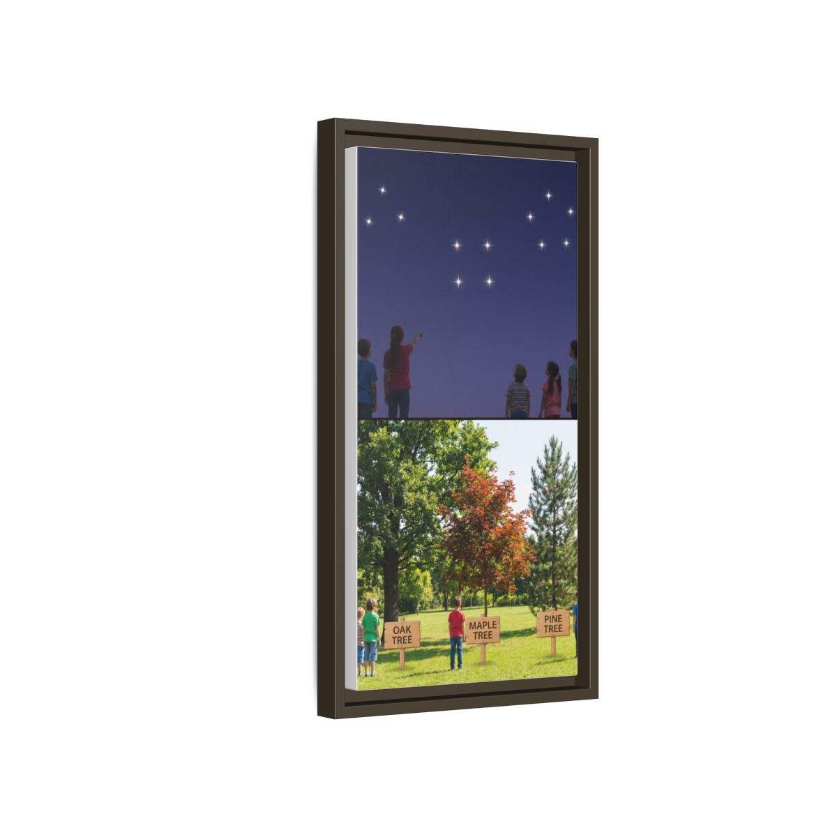 Framed Matte Canvas - Discovery — Espresso / 1.25"