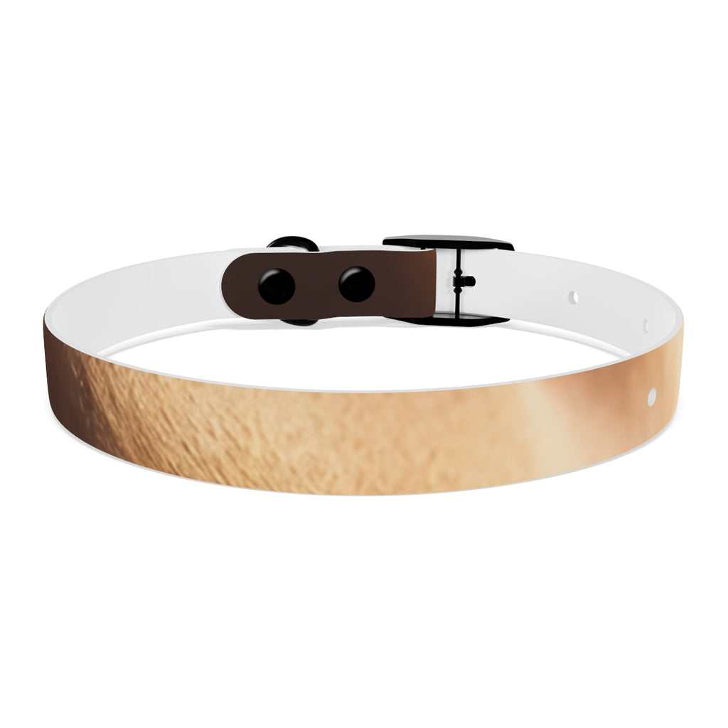 Dog Collar - Golden Hour Glow