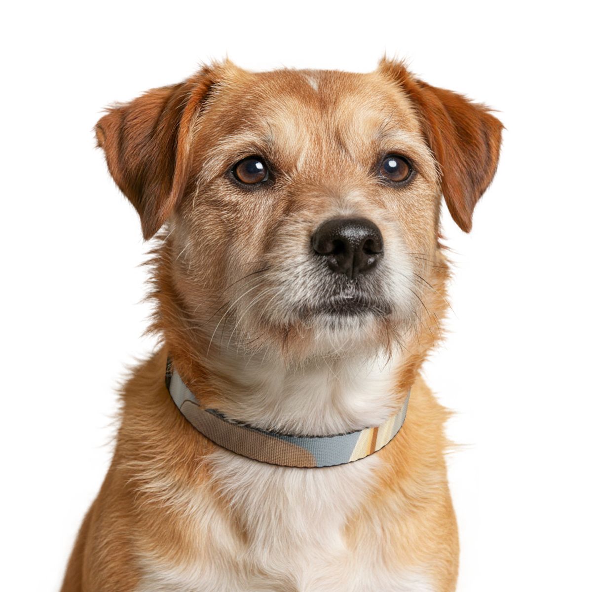 Soft Blue Clip-on Pet Collar - Dog Style