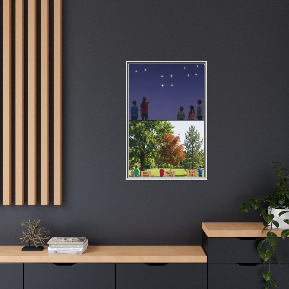 Framed Matte Canvas - Discovery — White / 1.25"