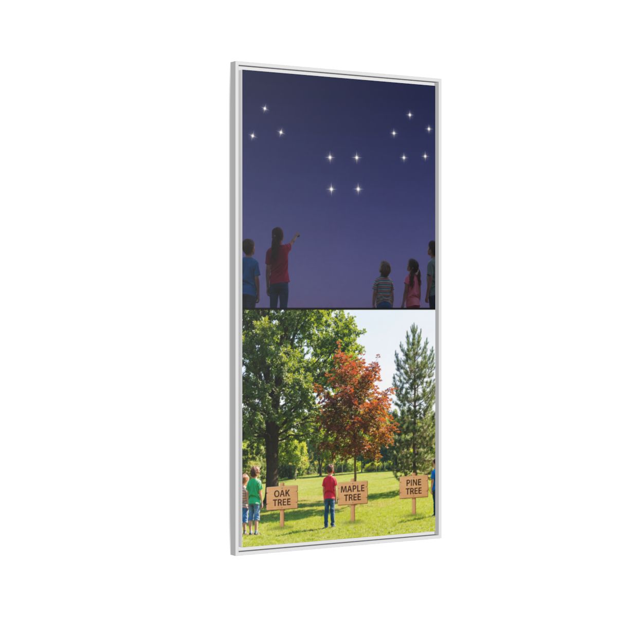 Framed Matte Canvas - Discovery — White / 1.25"
