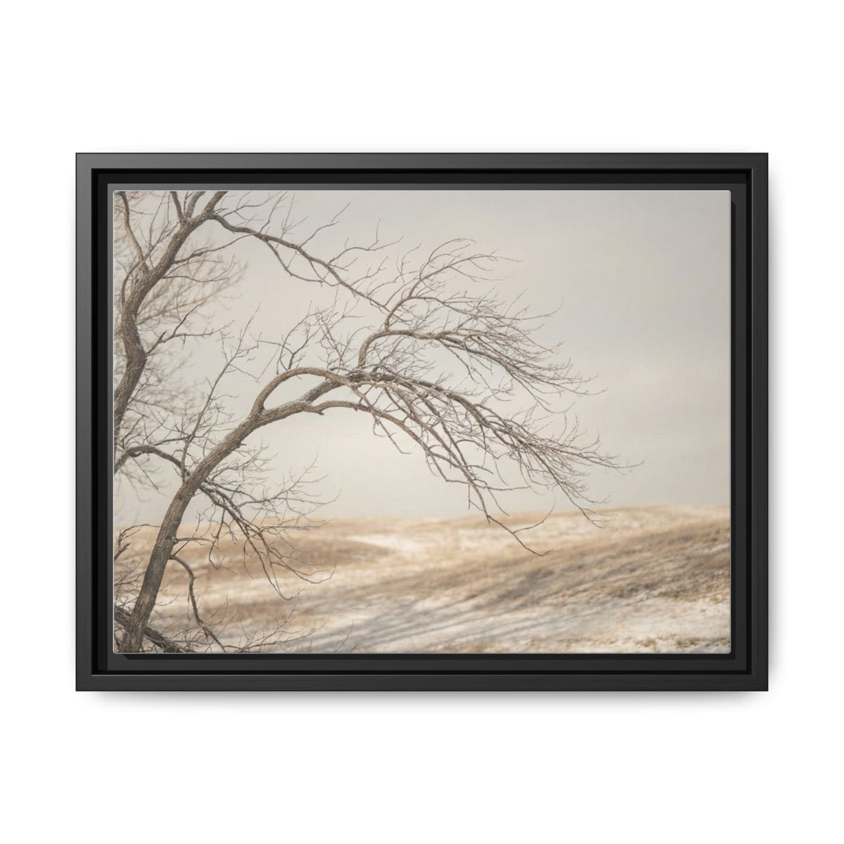 Framed Canvas Art - Minimalist Winter — Black / 1.25"