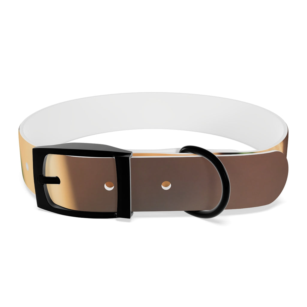 Dog Collar - Golden Hour Glow