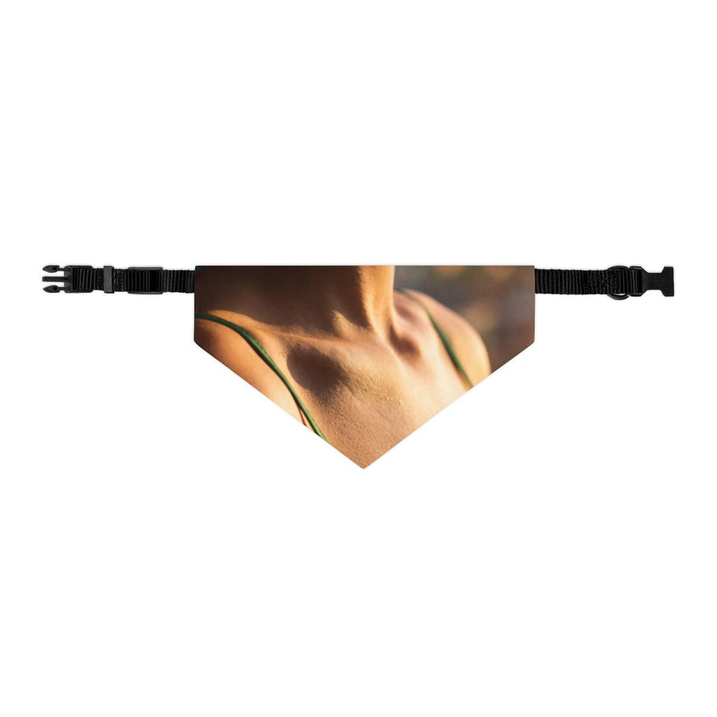 Pet Bandana Collar - Golden Hour Walk