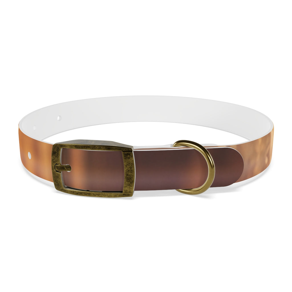 Dog Collar - Shattered Light Aesthetic