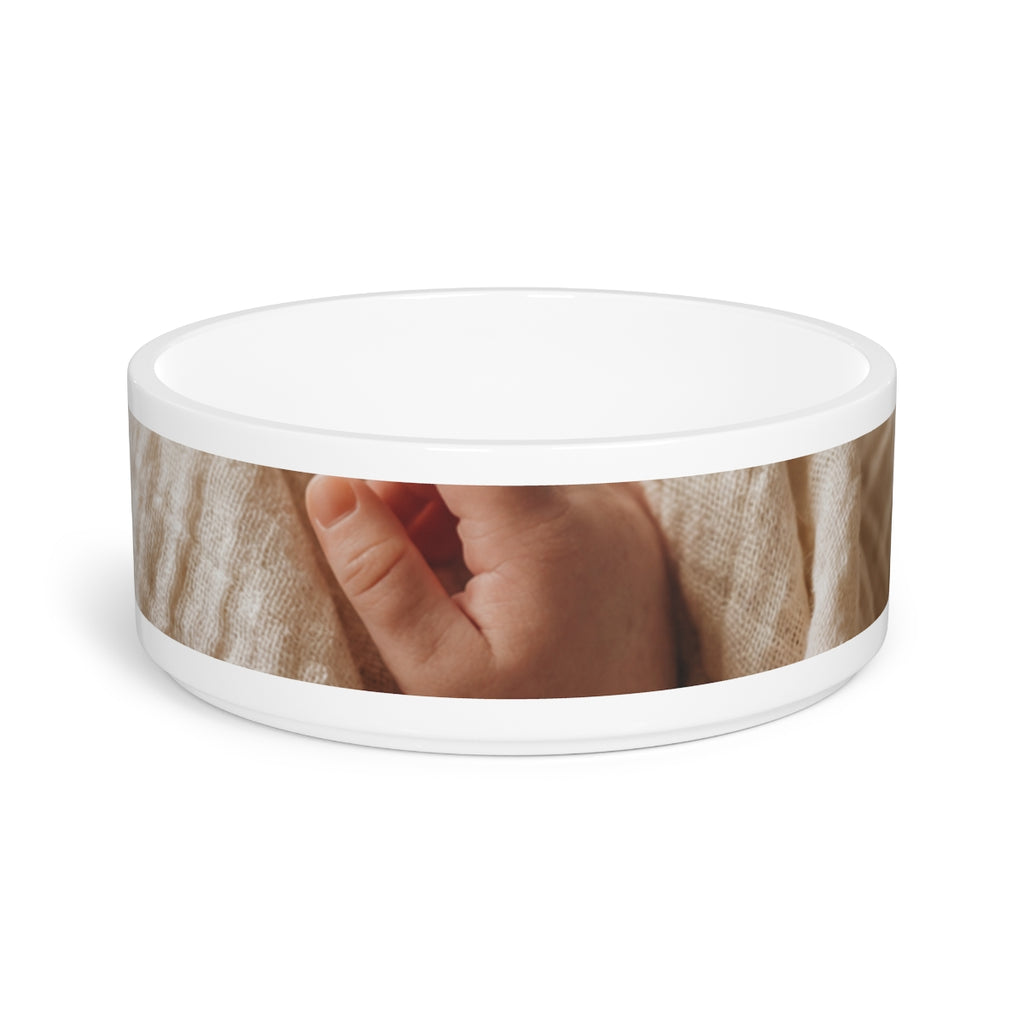 Pet Bowl - Aesthetic Dining