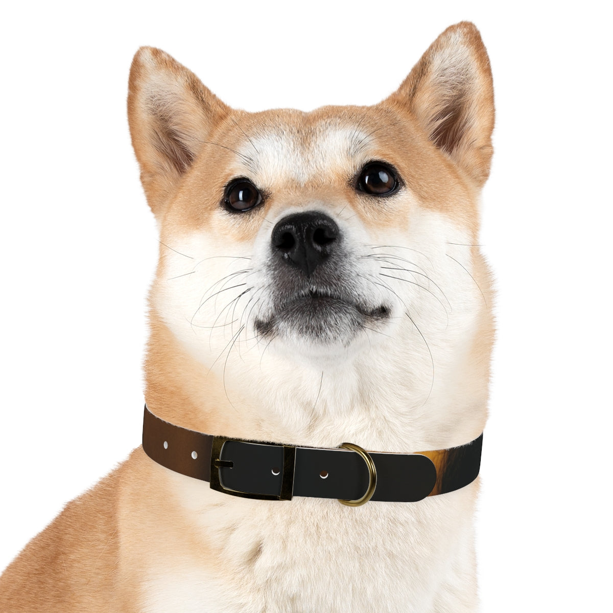 Dog Collar - Night Luxe Radiance