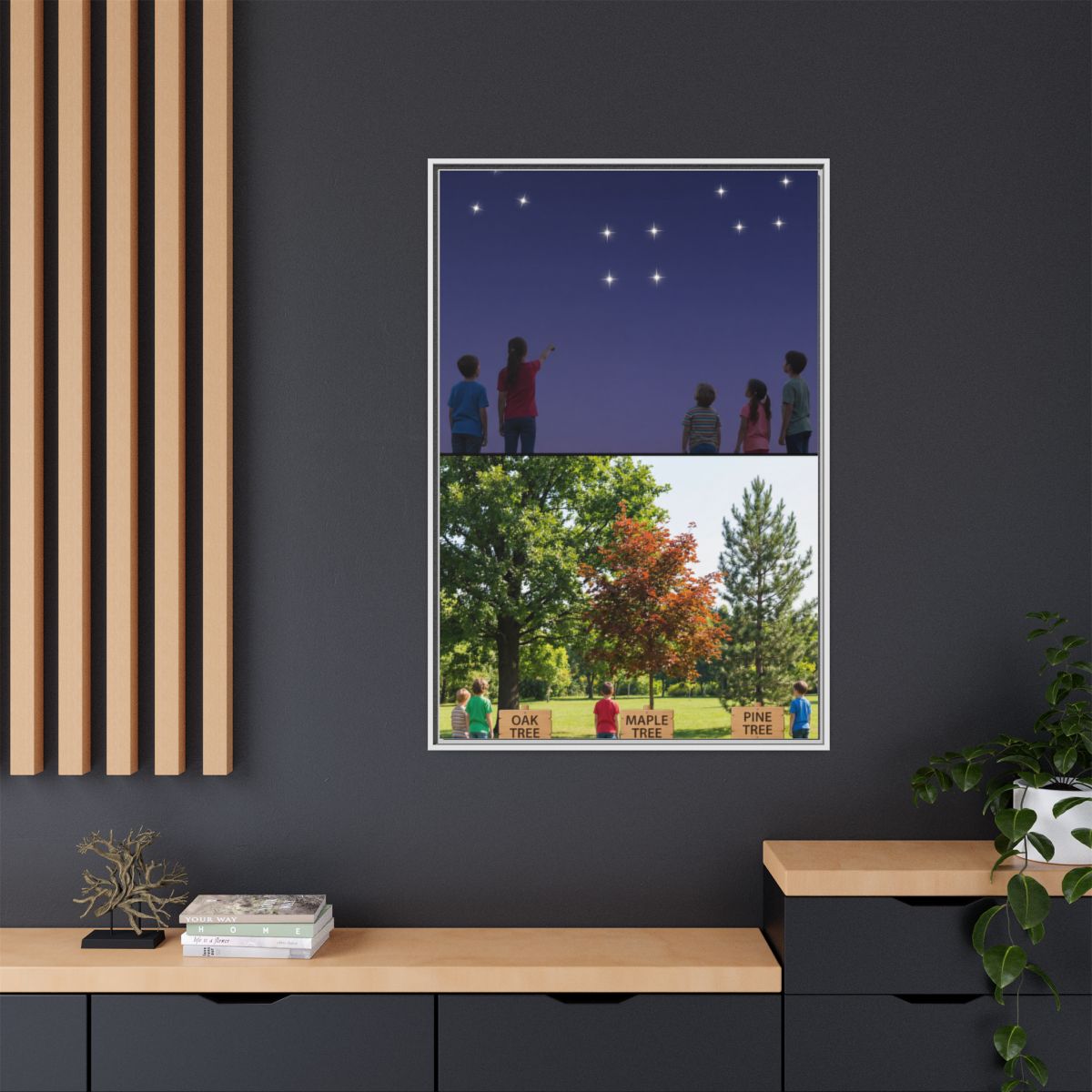 Framed Matte Canvas - Discovery — White / 1.25"