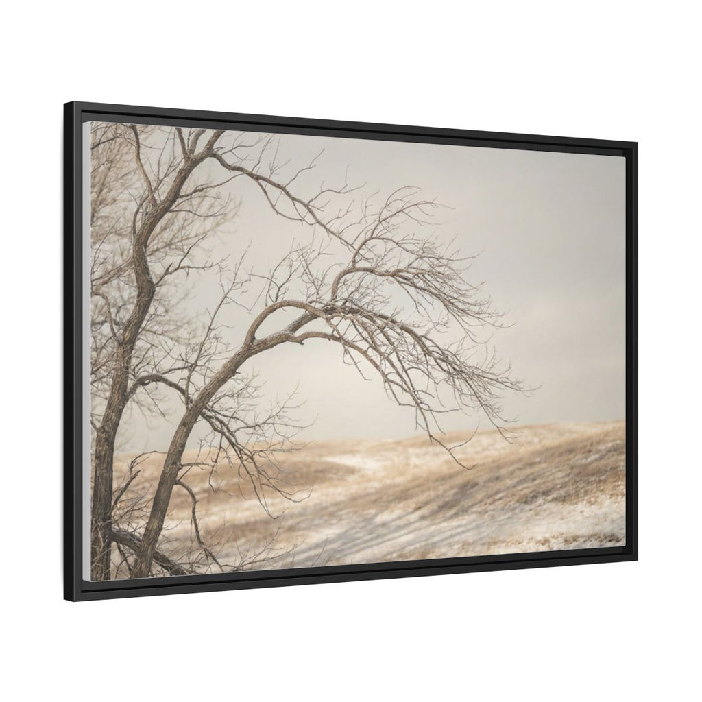 Framed Canvas Art - Minimalist Winter — Black / 1.25"