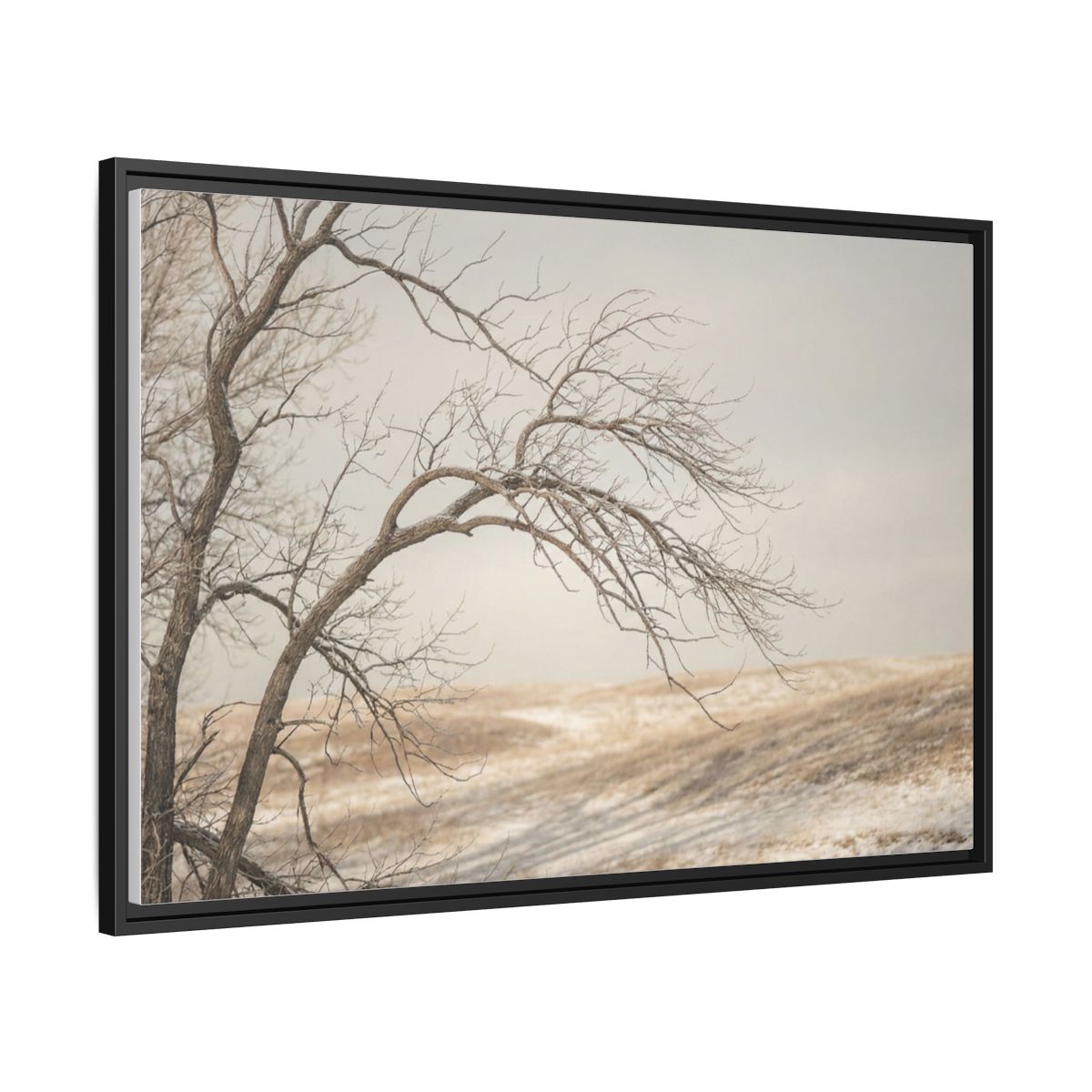Framed Canvas Art - Minimalist Winter — Black / 1.25"