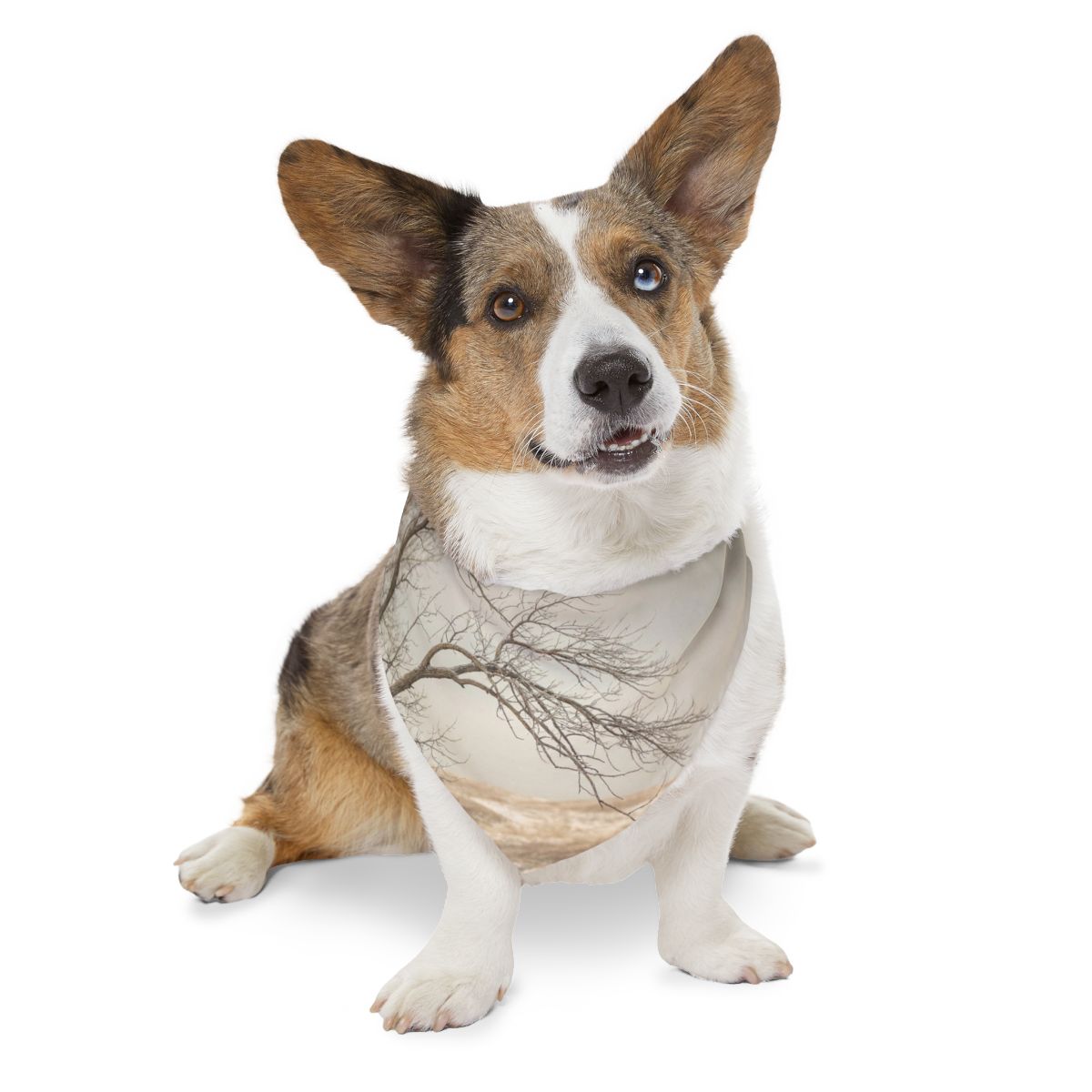 Pet Bandana Collar - Winter Branch Solitude Landscape |...