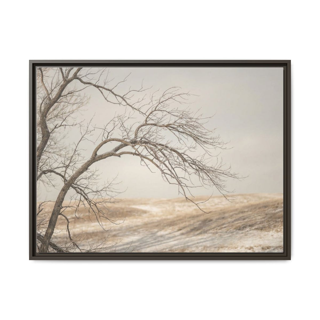 Framed Canvas Art - Minimalist Winter — Espresso / 1.25"