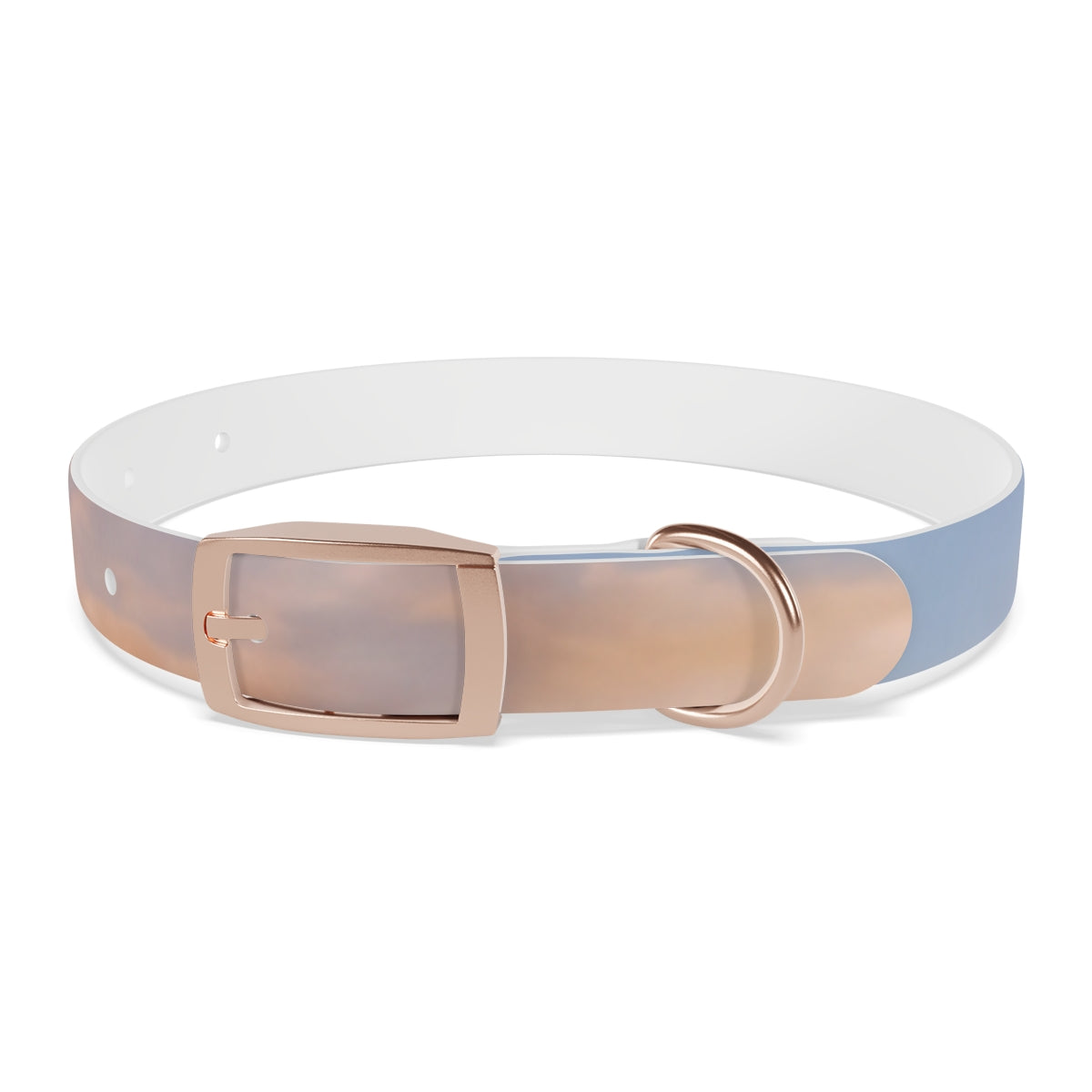 Dog Collar - Trail Companion