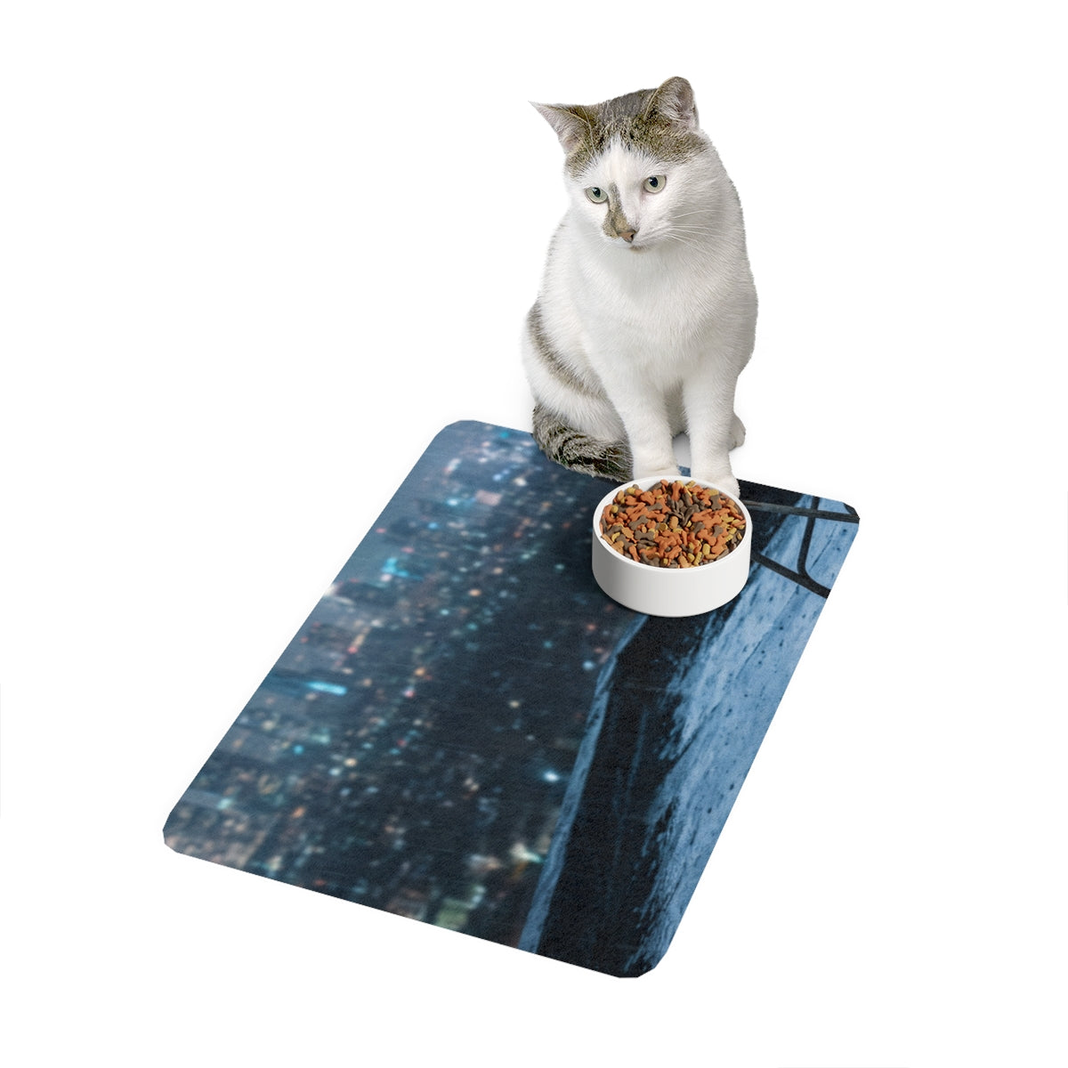 Pet Food Mat 12x18 - Midnight Rain | Echovira Gallery