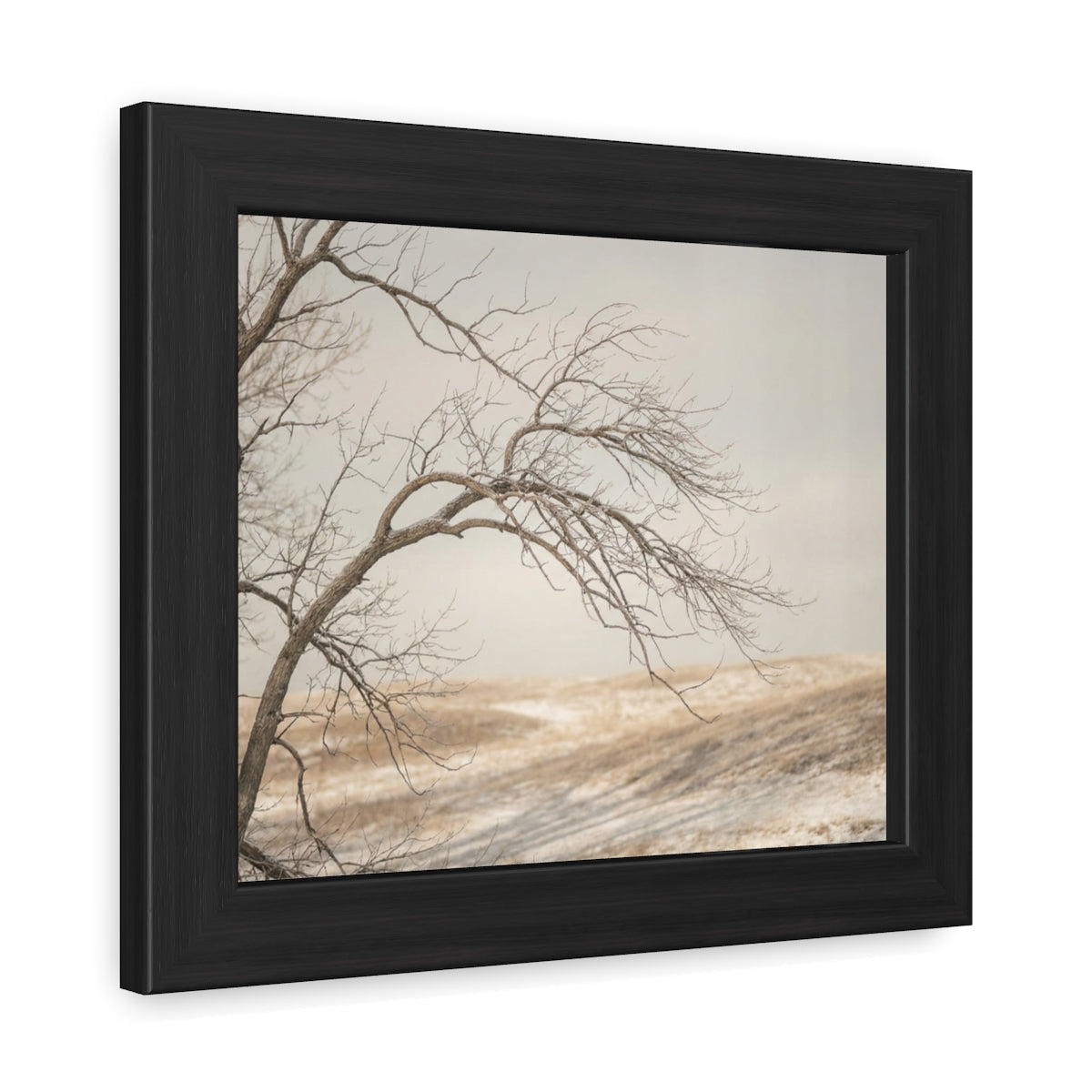 Framed Poster - Minimalist Winter Tree — Landscape