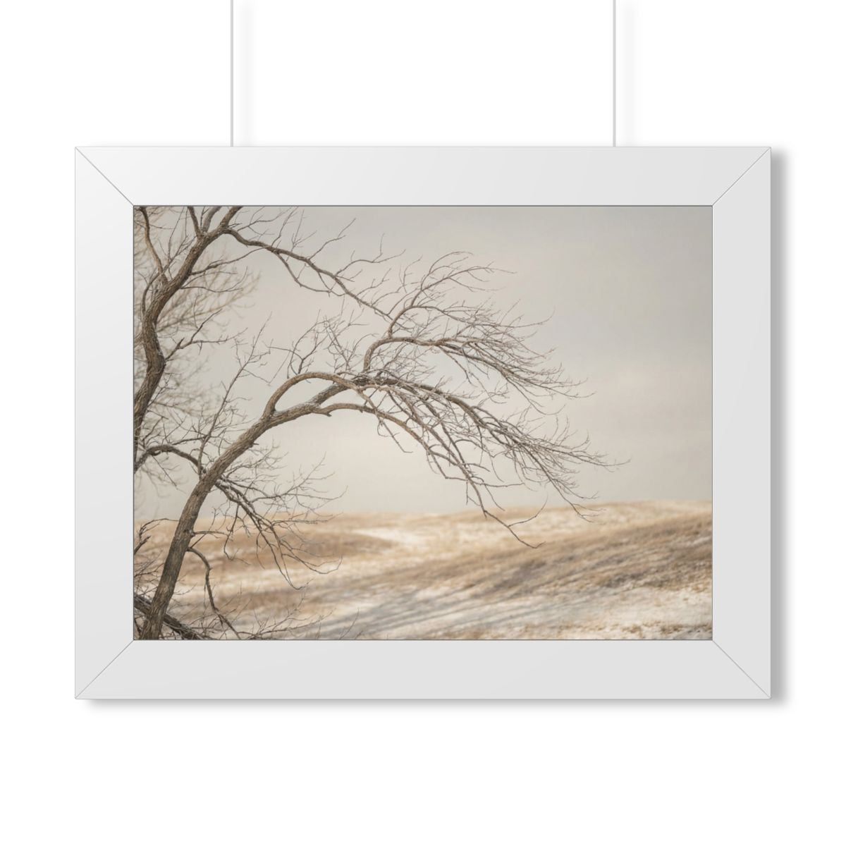 Framed Horizontal Poster - Winter Branch Solitude Landscape...