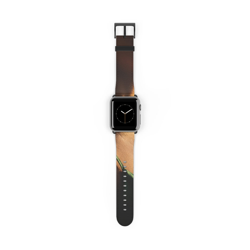 Golden Hour Watch Band - Sunkissed Emerald Strap | Echovira...
