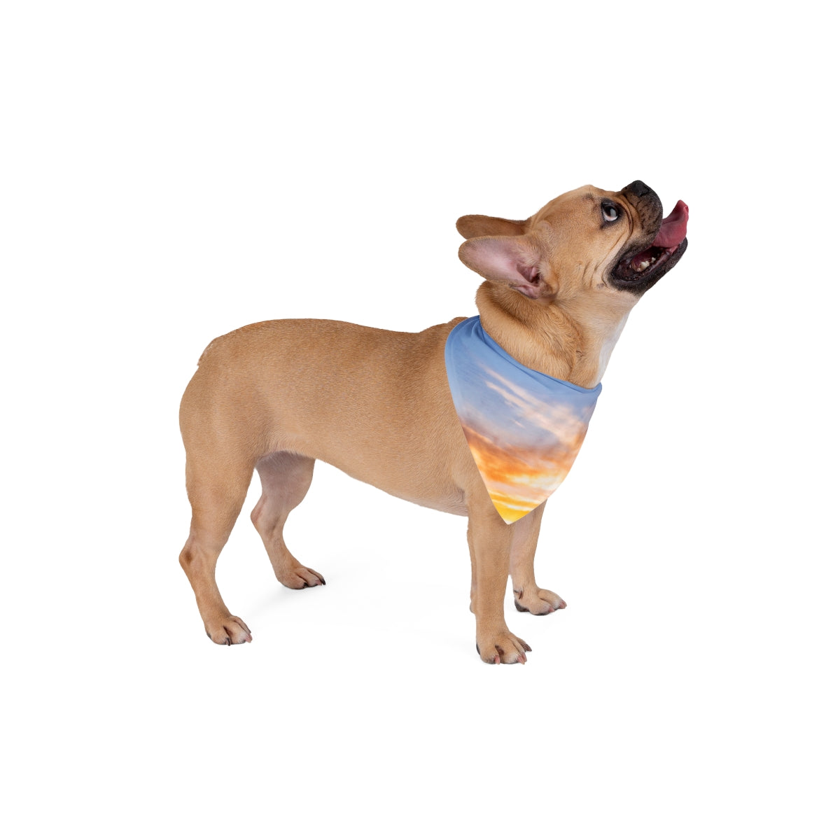 Pet Bandana - Golden Horizon Trail Dog