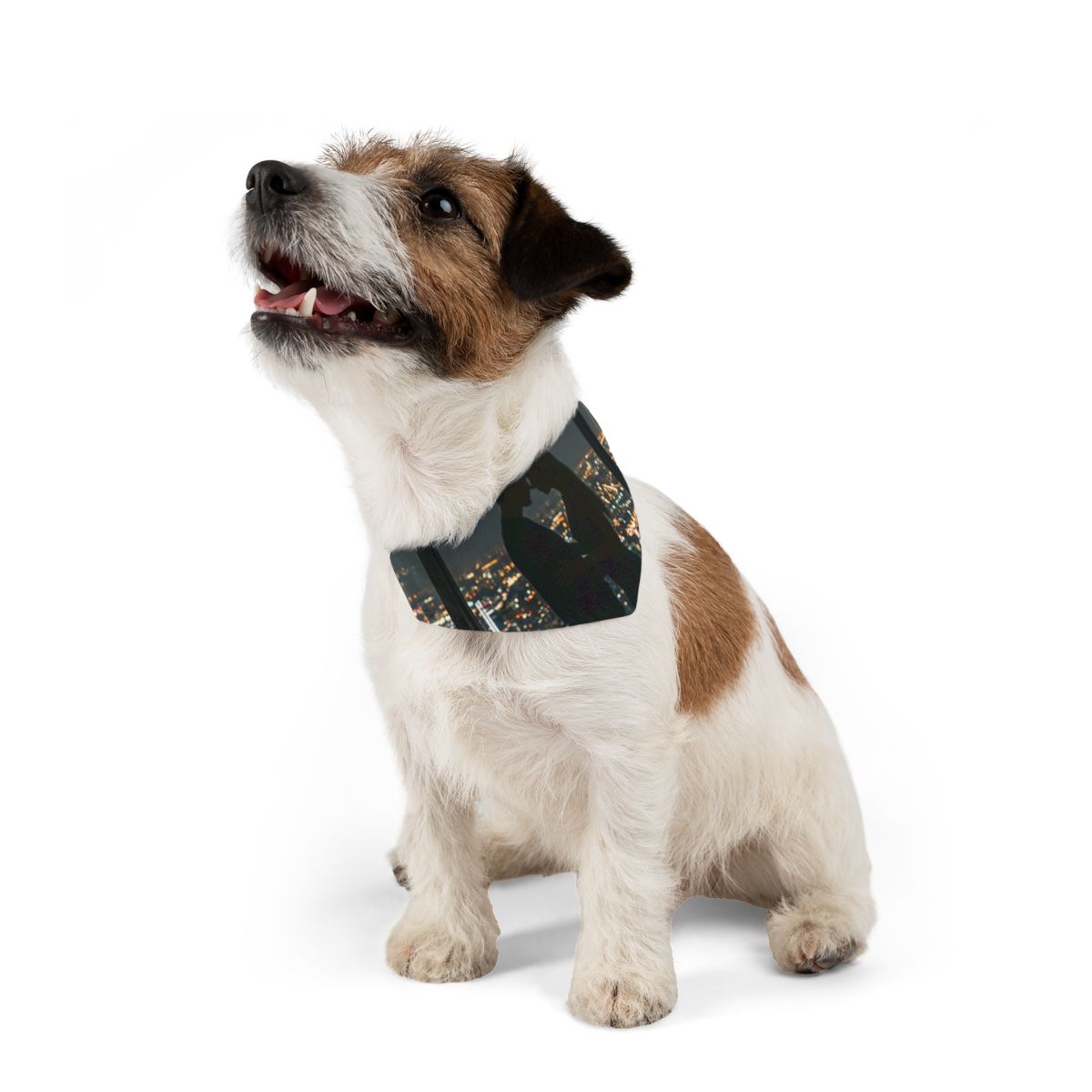 Pet Bandana Collar - City Lights Embrace Skyline Wall Art |...