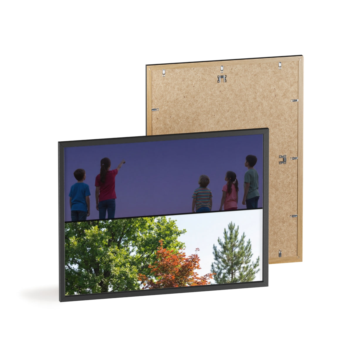 Posters with Wooden Frame - Woodland Explorer