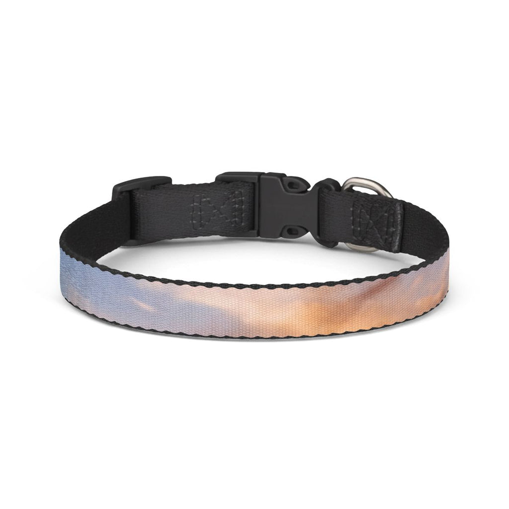 Pet Collar - Wanderlust Journey