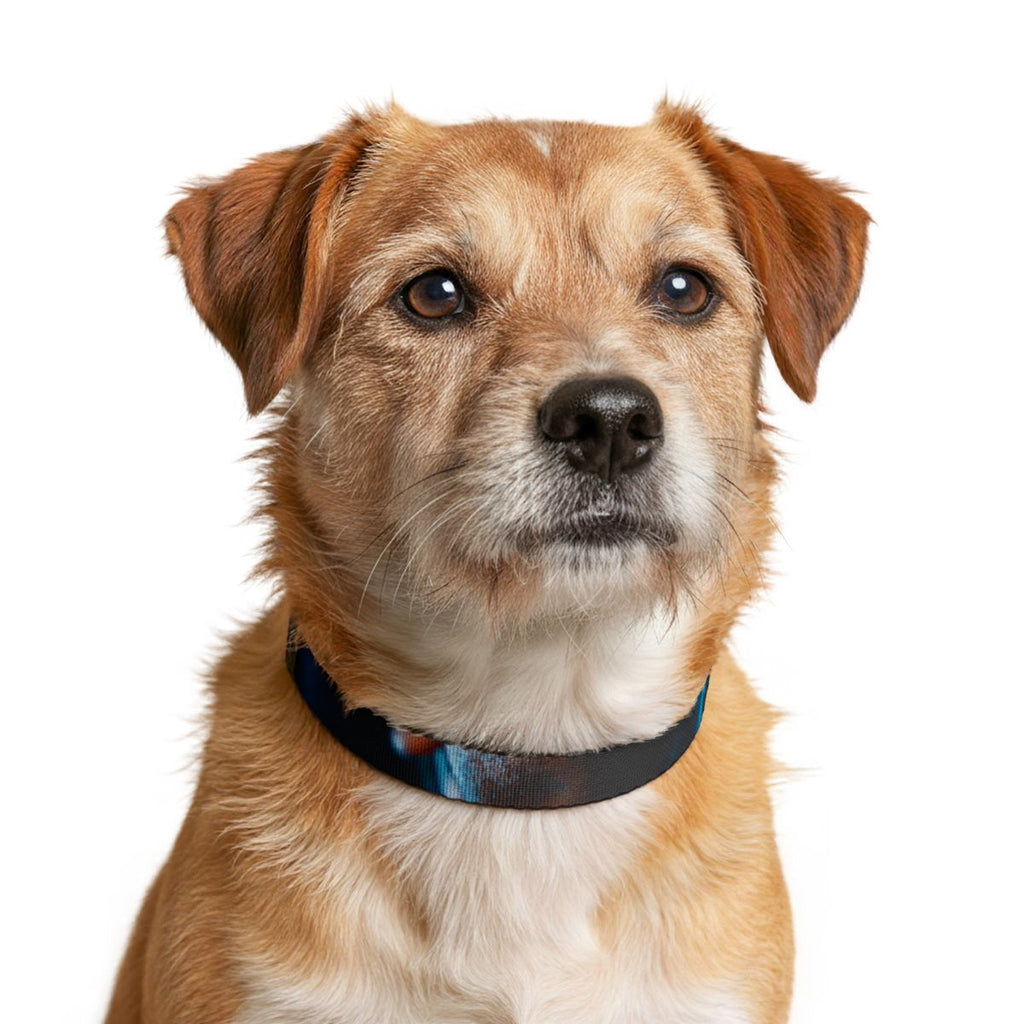 Clip-on Pet Collar - Cinematic Strut