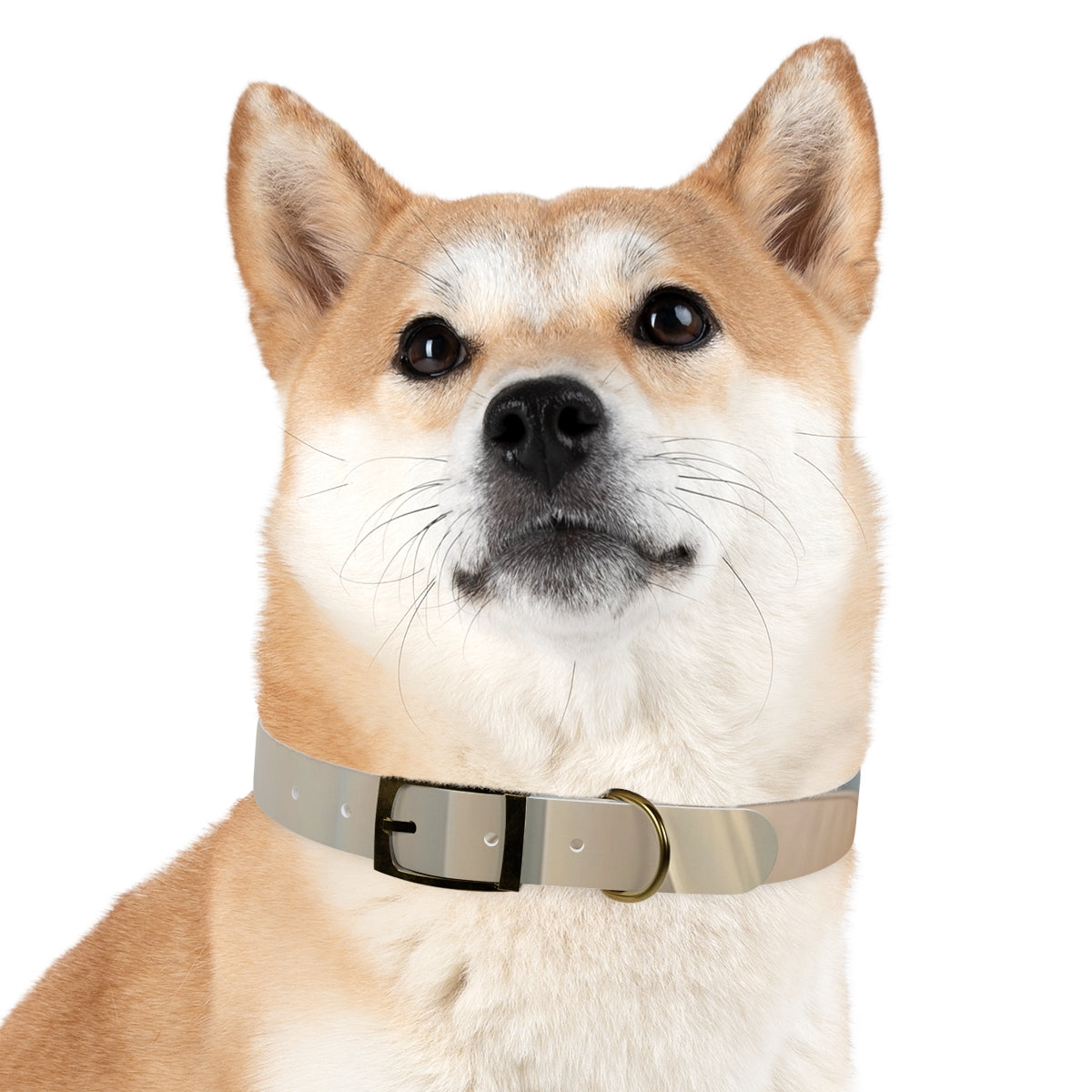 Pastel Dream Dog Collar - Gentle Pet Style