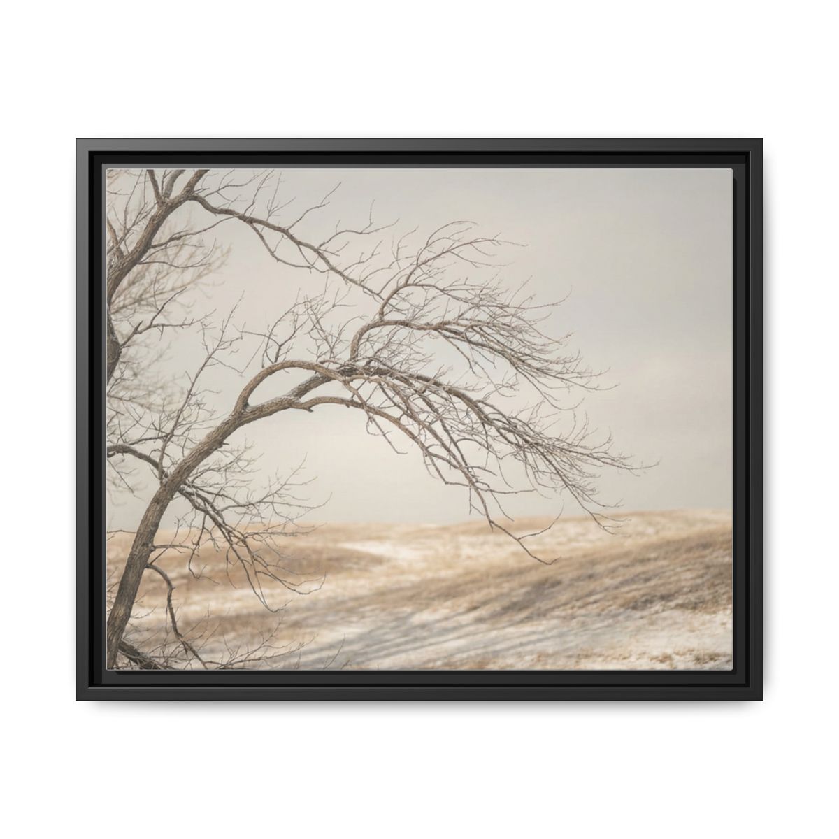 Framed Canvas Art - Minimalist Winter — Black / 1.25"
