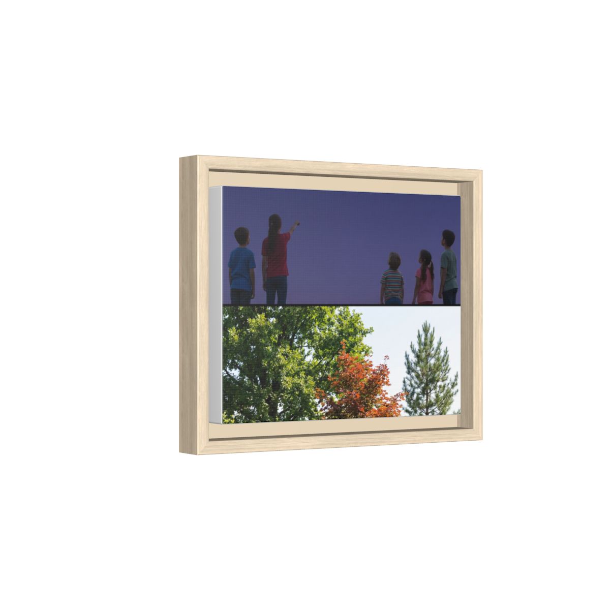 Framed Matte Canvas - Wilderness Gallery