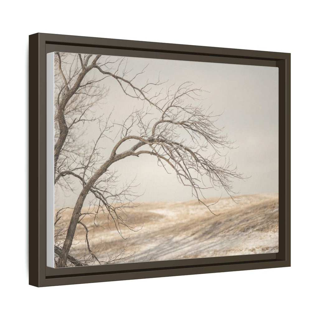 Framed Canvas Art - Minimalist Winter — Espresso / 1.25"