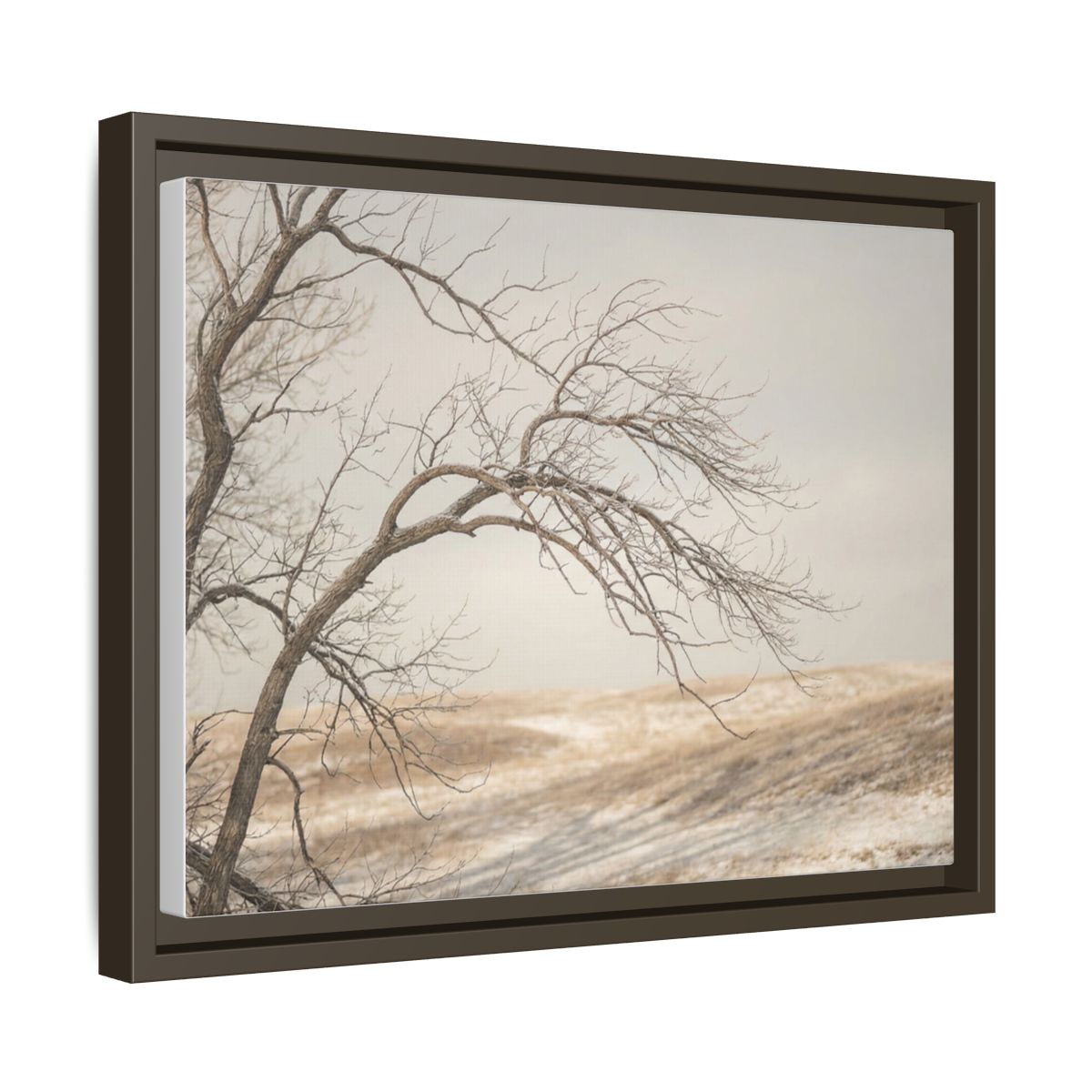 Framed Canvas Art - Minimalist Winter — Espresso / 1.25"