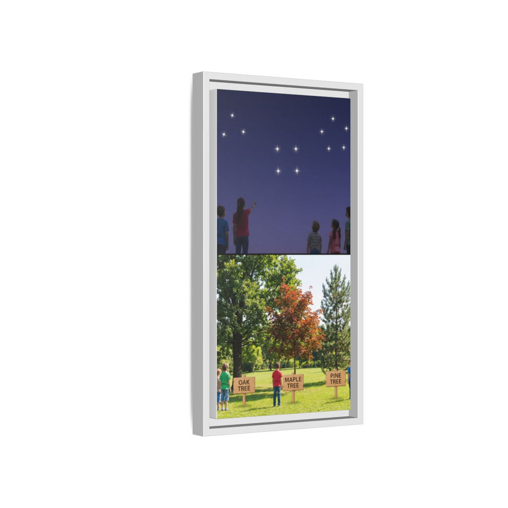 Framed Matte Canvas - Discovery — White / 1.25"