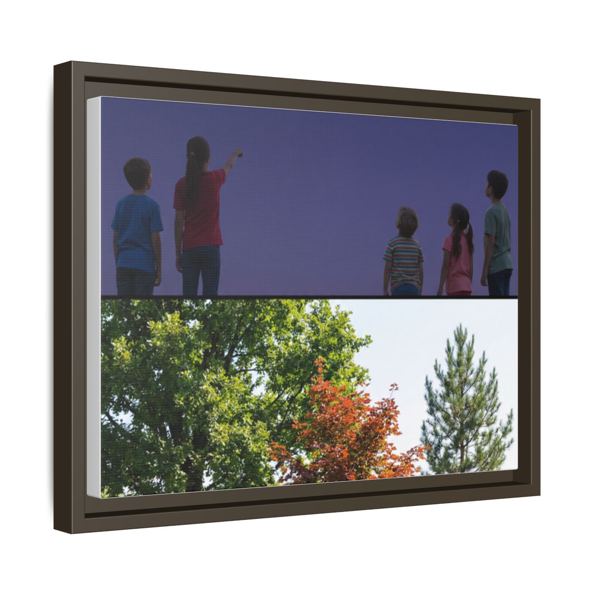 Framed Matte Canvas - Wilderness Gallery